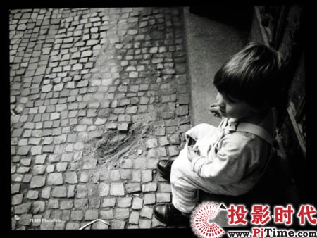 cŴLEDͶӰCSP-P310ME