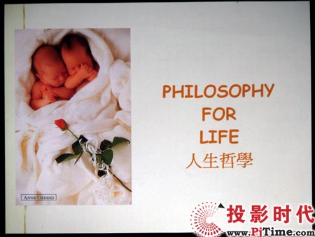 cŴLEDͶӰCSP-P310ME