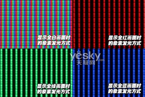 |֥46ZF500Cuy