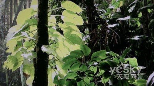 欲出奇兵智取奧運 日立液晶電視UT42詳評
