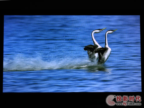 長(zhǎng)虹iTV46920DE液晶電視:高清影片賞析