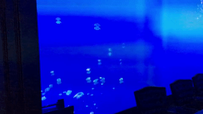 @NطҪ׌Ȧ֪