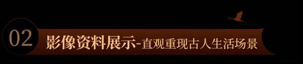 幤ͶӰV^vʮfvʷ׃w