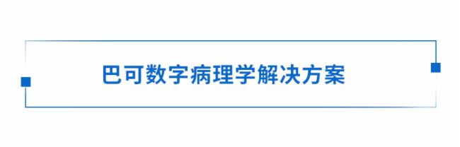 ƤحxɫڬF(xin)Wеđ