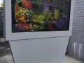 Ѹ_(d)ܑ⿴壬_(ki)r(nng)Ϣ